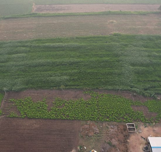 WhatsApp Image 2025-08-04 at 12.44.57