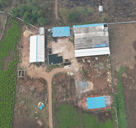 WhatsApp Image 2025-08-04 at 12.44.59