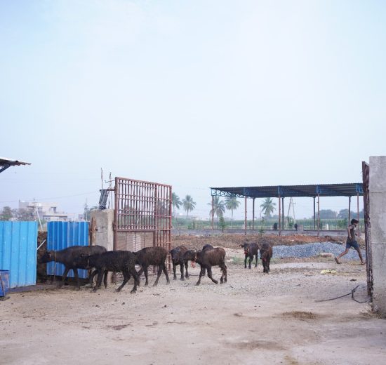 WhatsApp Image 2025-08-04 at 12.45.02 (1)