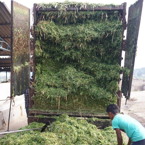 WhatsApp Image 2025-08-04 at 12.45.03