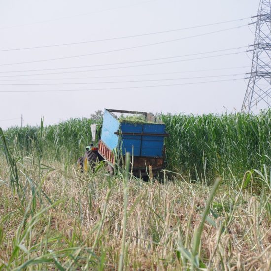 WhatsApp Image 2025-08-04 at 12.45.05