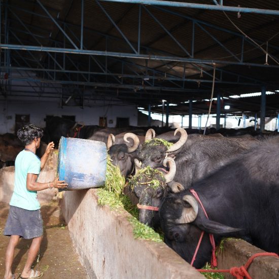 WhatsApp Image 2025-08-04 at 12.45.09